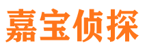 汉阳市侦探公司